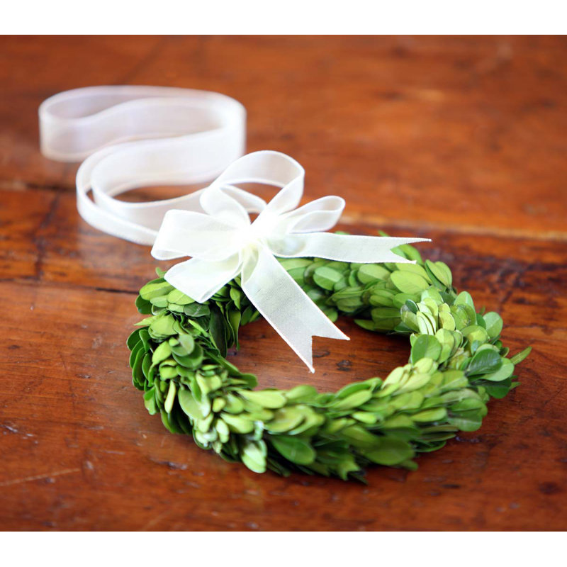 Preserved Boxwood 6" Greenery Wreath