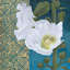 « mollement soirée iii », impression sur toile tendue-23354555-72688633-72688634