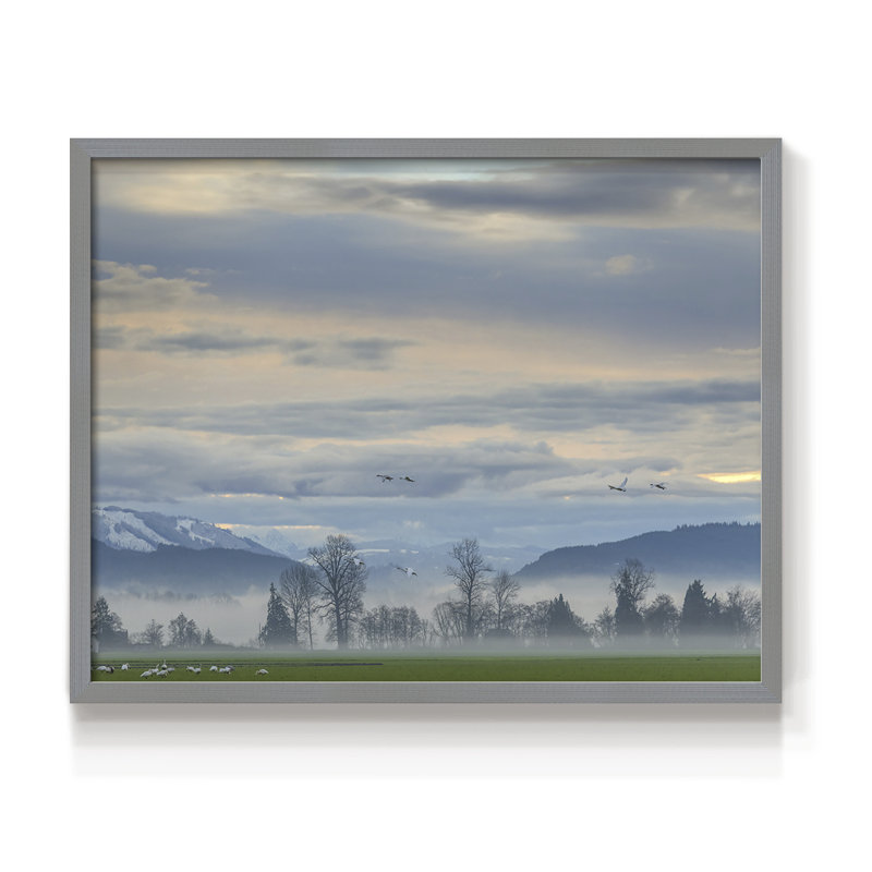 «Misty Horizon», impression encadrée, H 8 po x l 10 po, Gris