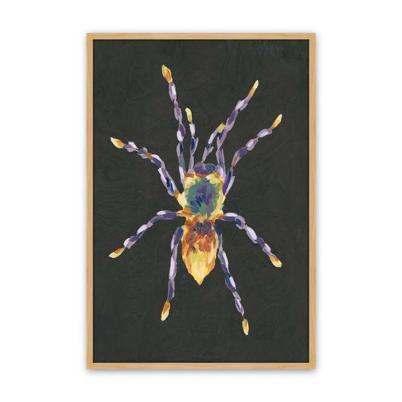 «Spider Cameo II» par June Erica Vess, reproduction d'art, H 18 po x l 12 po, Impression sur cadre ouvert sans papier mat