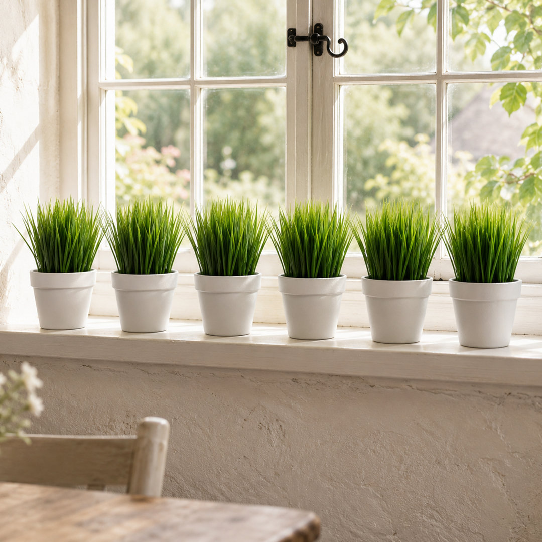 Pack Of 6 X Artificial Potted Foliage Plants 22cm Faux Ficus Plant in Planter