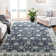 Cherita Machine Woven Polyester Oriental Area Rug