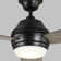 Rivers 52'' Ceiling Fan with LED Lights
