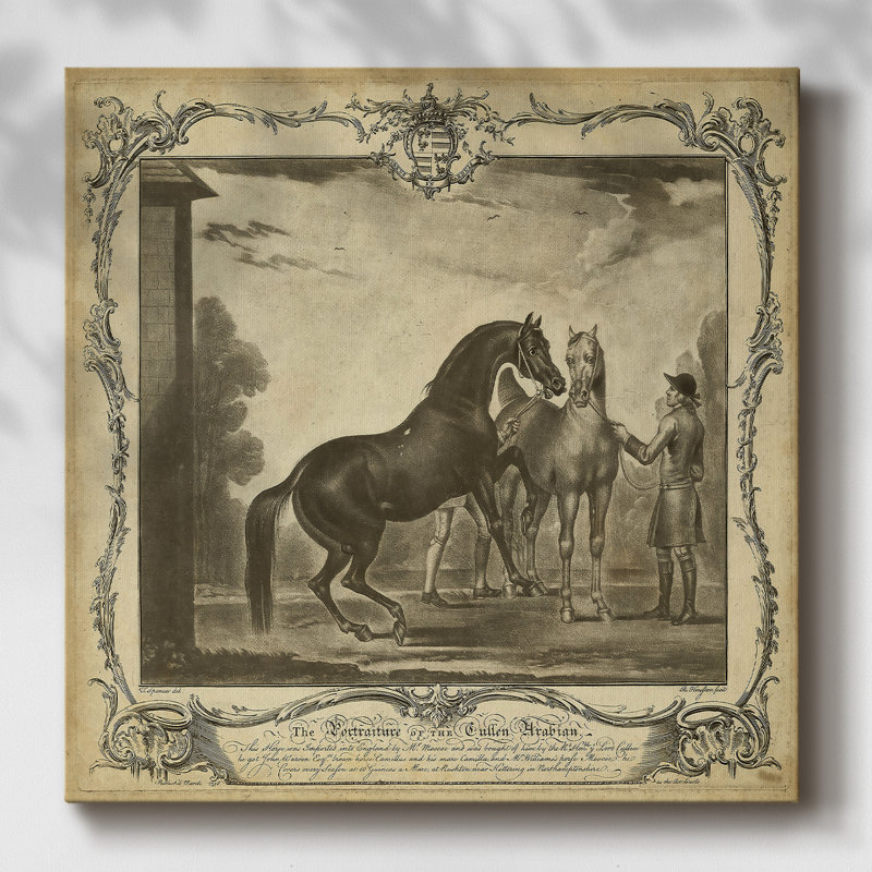 Distingué chevaux III - impression sur toile tendue, H 24 po x l 24 po x P 1,5 po