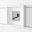 Single Picture Frame Print