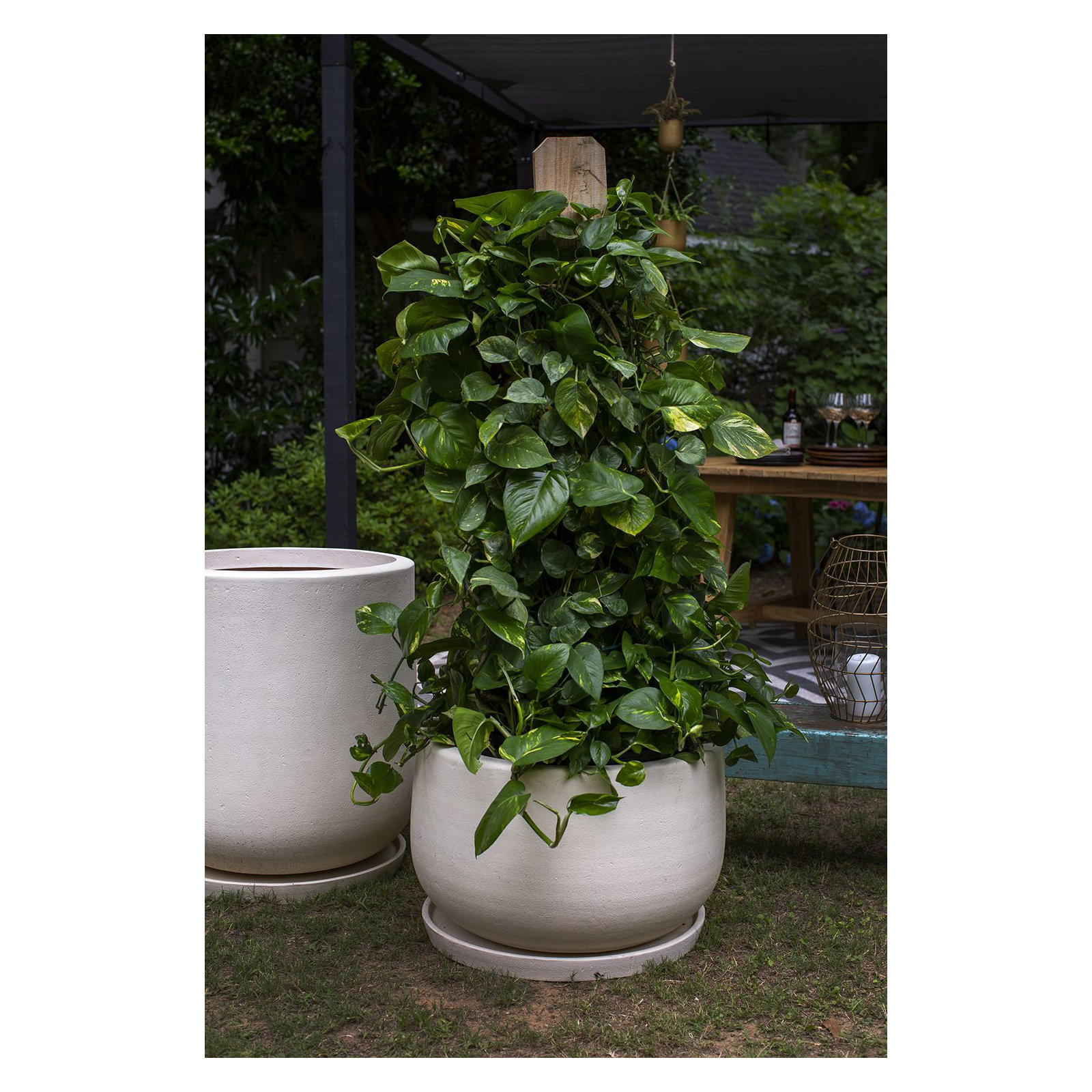 Cailie Pot Planter, 17" H x 24.5" W x 24.5" D
