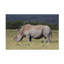Art sur toile «Rhin»-104136735