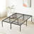 Tesfai 14'' Steel Platform Bed-823876193-867532884