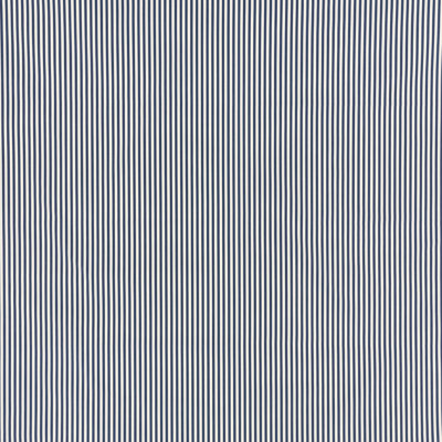 Brigitte Stripe Fabric