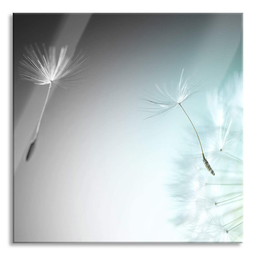 Glasbild Pusteblume