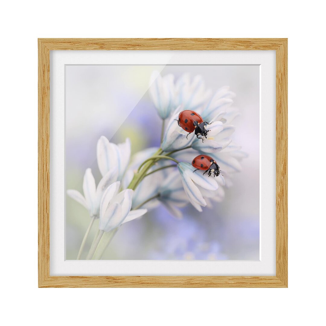 Gerahmter Kunstdruck Ladybird Couple