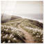 Blooming Path Print by Oliver Gal-1550810678-1550810672