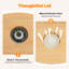 Harsha 5L Storage Cereal Dispenser