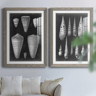 Alabaster Shells IPremium, reproduction encadrée - prête à être accrochée