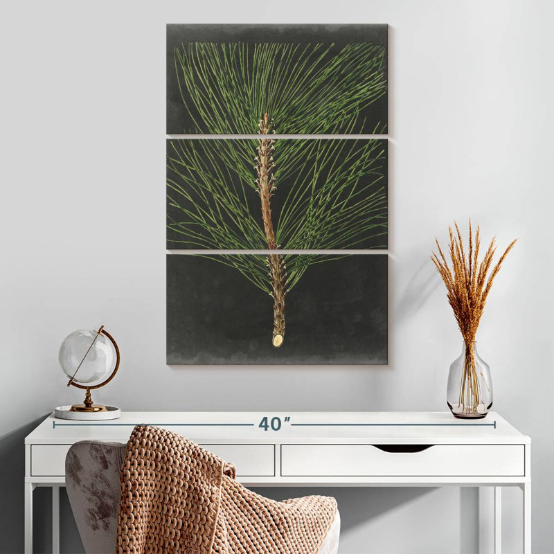 Harnek Dramatic Pine I, 32" H x 20" W