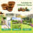 Bostow Set Of 3 Round Barrel Planter-1617013609