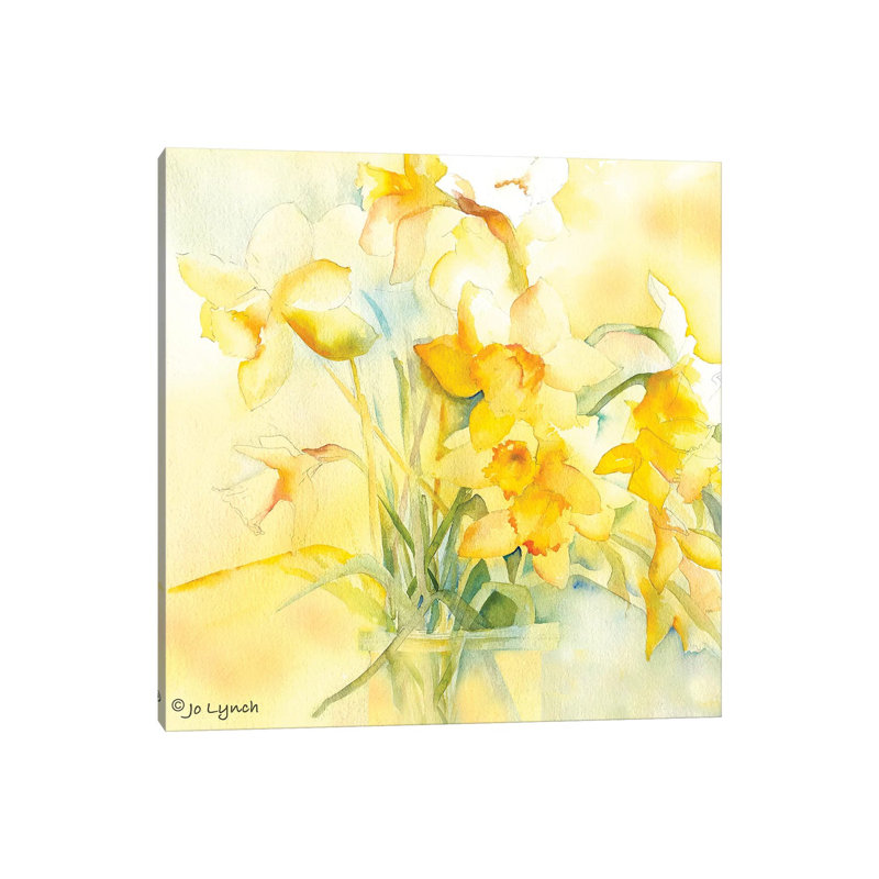 Daffodil Spring by Jo Lynch - Wrapped Canvas Gallery-Wrapped Canvas Giclée, 66.04cm H x 66.04cm W