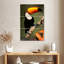 Toucan adorable Brampt-108594764