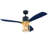 Ceiling Fan with Light Kit-1662170201