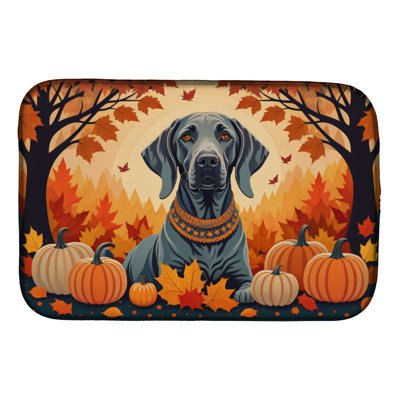 Tapis de séchage