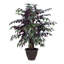 Arbre en pot artificiel Capensia-748766111