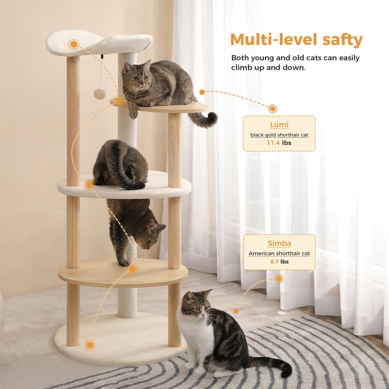 Tour à chat pour chats d'intérieur