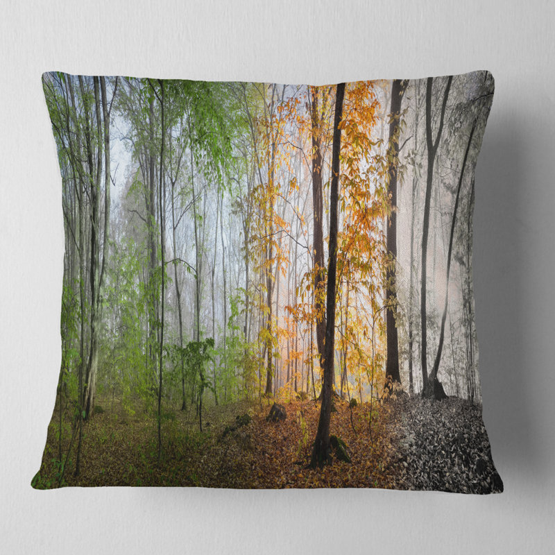 Coussin Schafer, Gris, 18 po x 18 po, Coussin décoratif