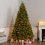 Carolina Flocked/Frosted Christmas Tree-1687330706