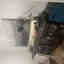 Customer photo 4 of 5