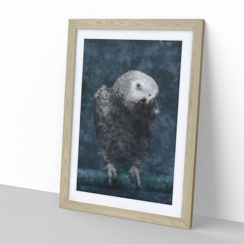 African Grey Parrot - Picture Frame Graphic Art, 65cm H x 48cm W x 2cm D, Oak Framed