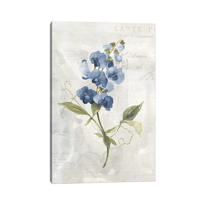 Blue Linen Sweet Pea by Carol Robinson - Wrapped Canvas Gallery-Wrapped Canvas Giclée, 20.32 cm H x 30.48 cm W