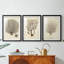 Esper Sea Fans I - reproduction sur mesure encadrée de qualité supérieure - 3 pièces-1607683334-1607683332