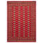 Tapis rouge foncé Finest Peshawar Bokhara 6 pi 2 po x 8 pi 8 po