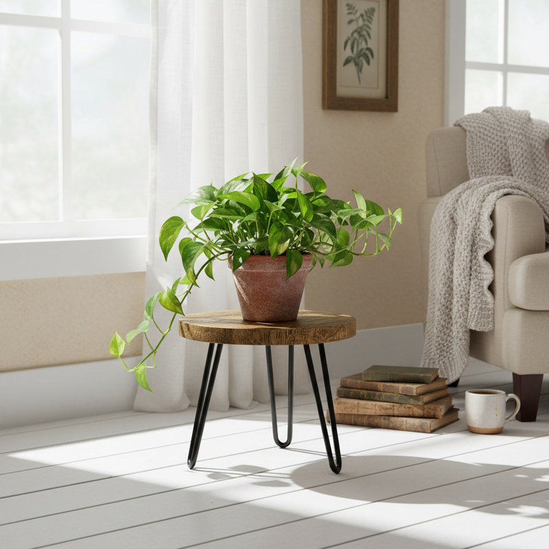 Plant Stand