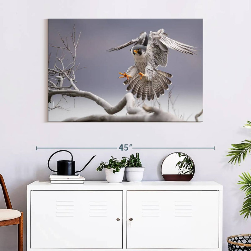 Peregrine Falcon, 26" H x 39" W