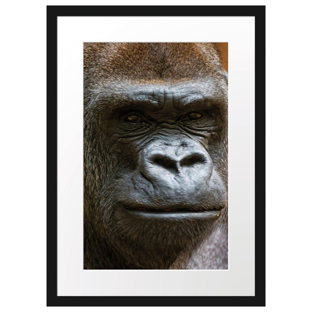 Gerahmtes Poster Stolzer Gorilla