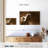 Brampt Wild Arabian Horse