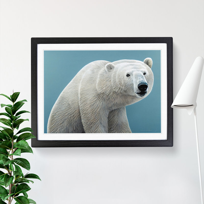Interesting Polar Bear - Framed Print, Black, 46cm H x 64cm W x 2cm D