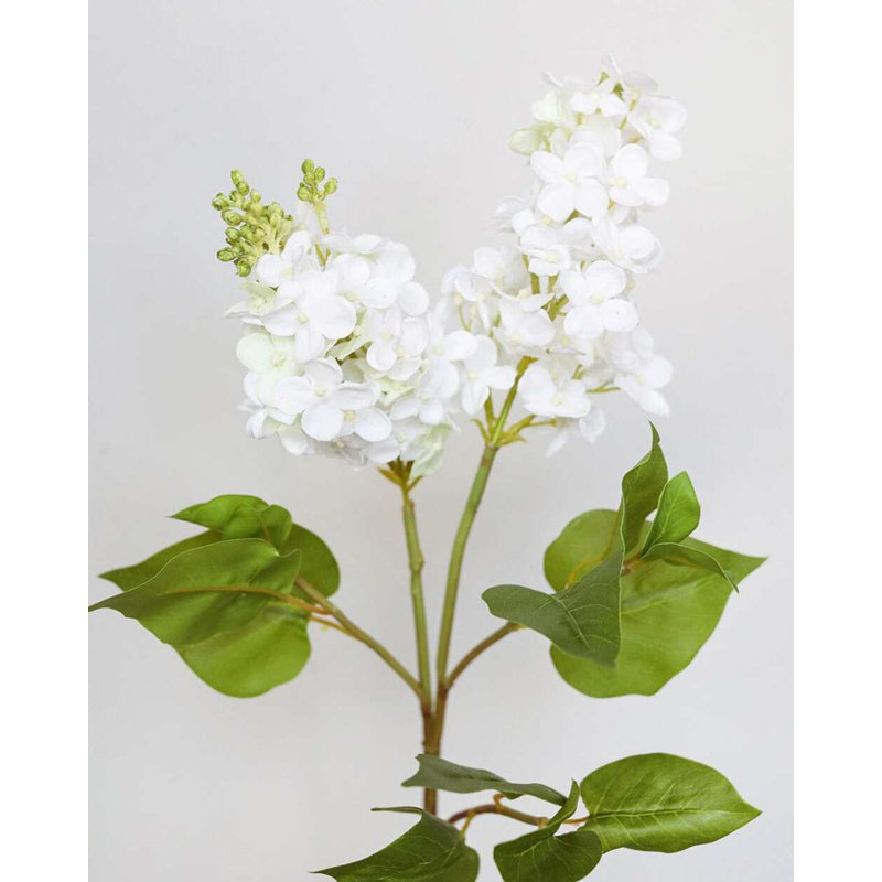 «Real Touch» lilas blanc 27,5 po, White