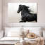 Cheval frison noir-107503139