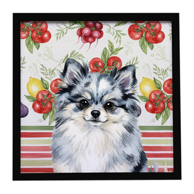 Blue Merle Pomeranian Vegetables Framed Metal Print