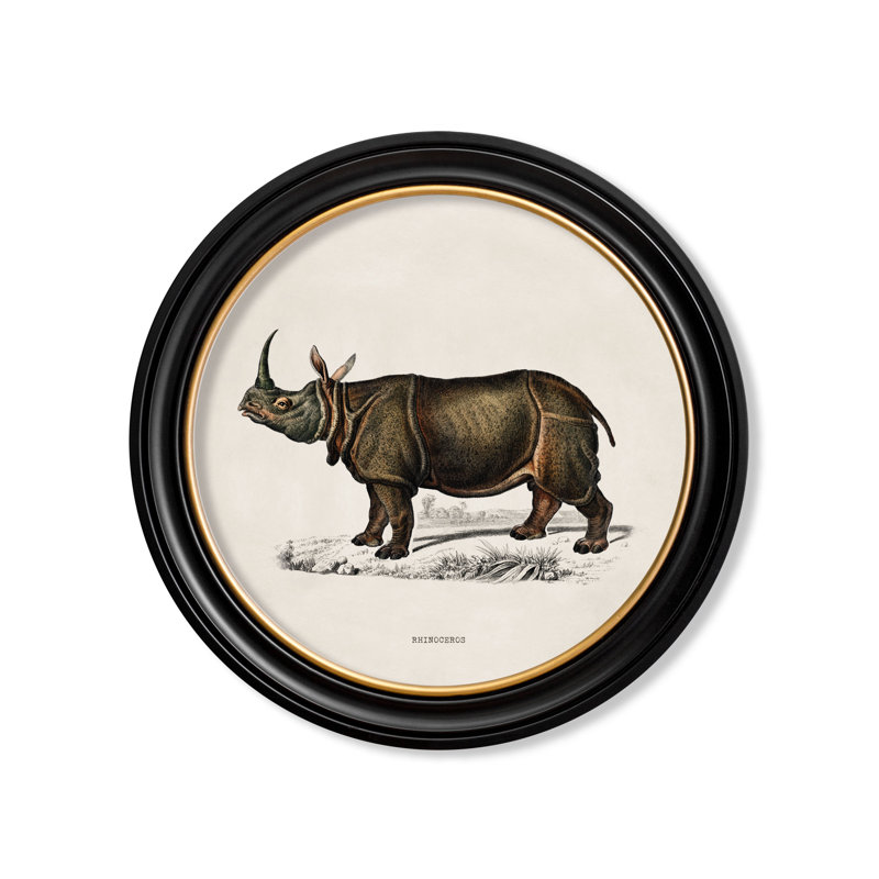 Rhino by Mid-1800s - Single Picture Frame Print on Archival Matt 230gsm Paper