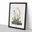 Field Sparrow by John Audubon - Picture Frame Graphic Art Print-55609275-55609276