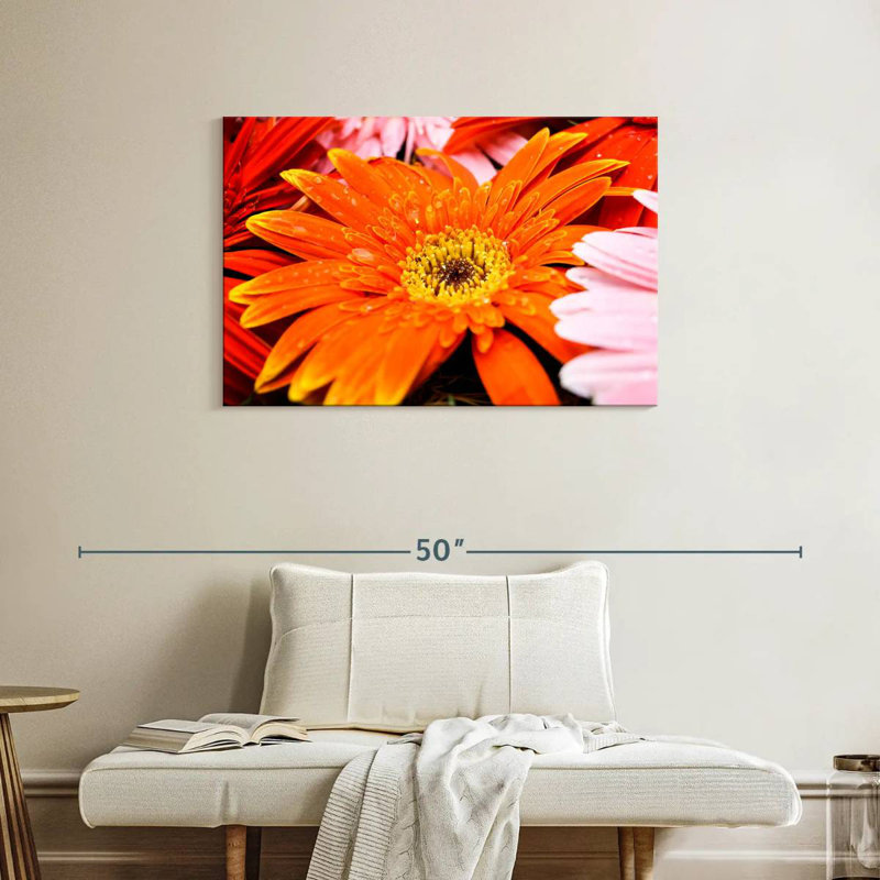 Dewy Orange Daisy, 24" H x 36" W