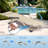 Outdoor Folding Lounge Chairs Recliner, Foldable Reclining Chair with Adjustable Backrest & Footrest-91677059