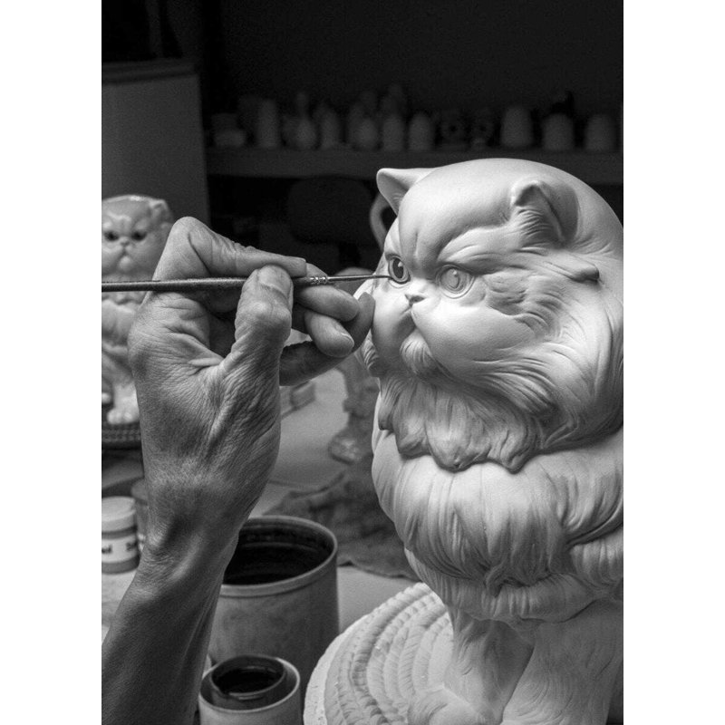 Persian Cat