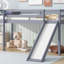 Lit simple mezzanine bas avec glissade, échelle et garde-corps de sécurité, fabrication en bois d'hévéa, finition grise pour les chambres de personnes-118038264
