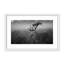 Nature Inspired Sunny Morning by  - Picture Frame Photograph on Paper-81386951-131284564-131297612