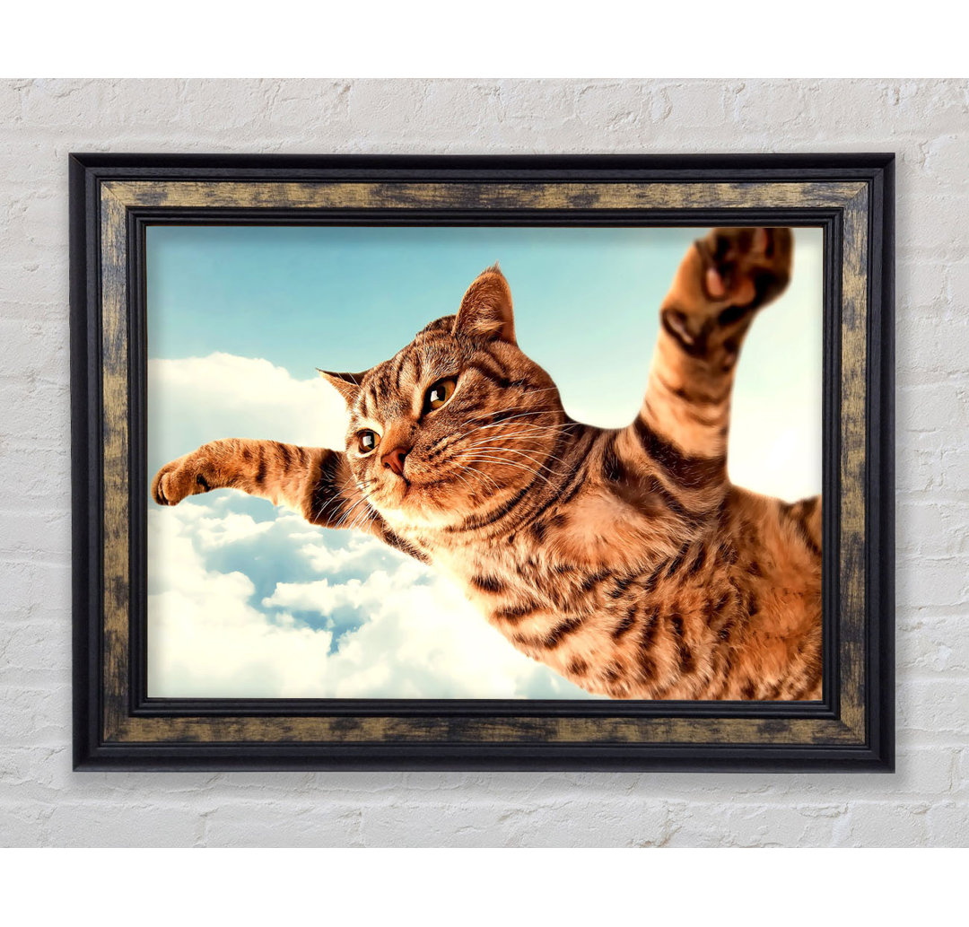 I Believe I Can Fly Katze - Einzelner Bilderrahmen Kunstdrucke