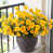 Yellow est en rupture de stock